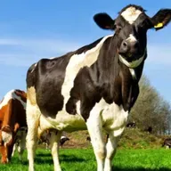 Cierre Ganadero 2025: una noche para pensar el próximo ciclo productivo en Gobernador Crespo