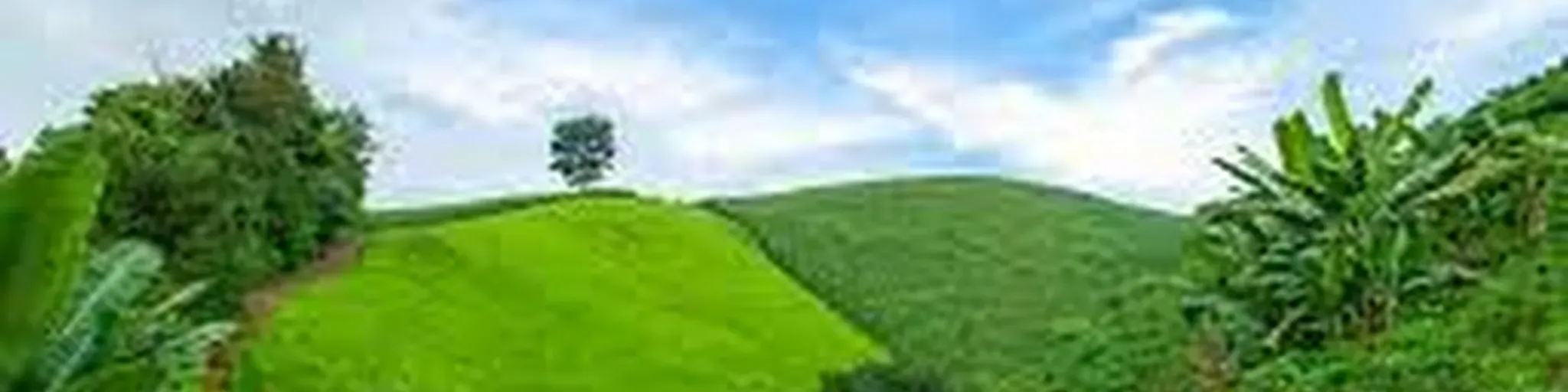 Linkradio Minas Gerais