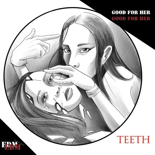 13.3 Teeth