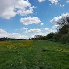 Hayden FM