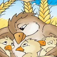 Tarla Kuşu İle Yavruları