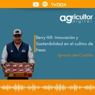 Berry Hill: Innovación y Sostenibilidad en el cultivo de fresa   #57 - Agricultor Digital