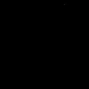 ntzin171