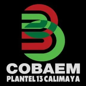 13 MX Radio