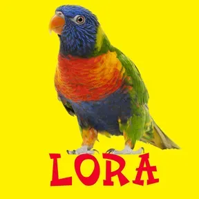 LoRa MuSiCaL