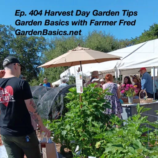 404 Harvest Day Garden Tips