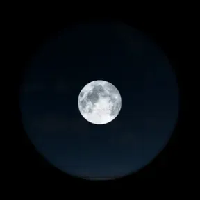 Fanatica de lo sensual