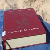 Mulheres que correm com os lobos. Clarissa Pínkola Estes- “Descansos”