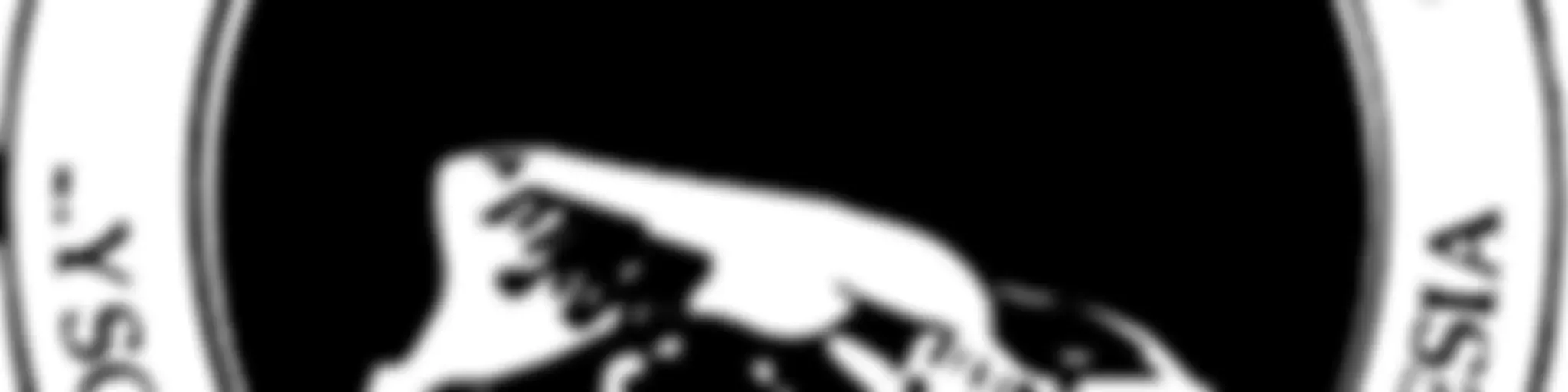 Iglesia Pentecostal Roca Sólida