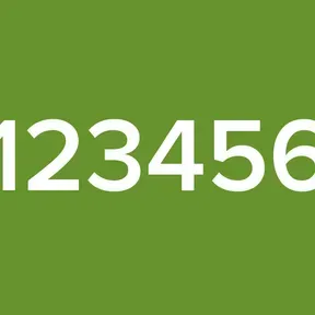 123456