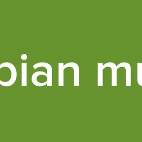 arabian music
