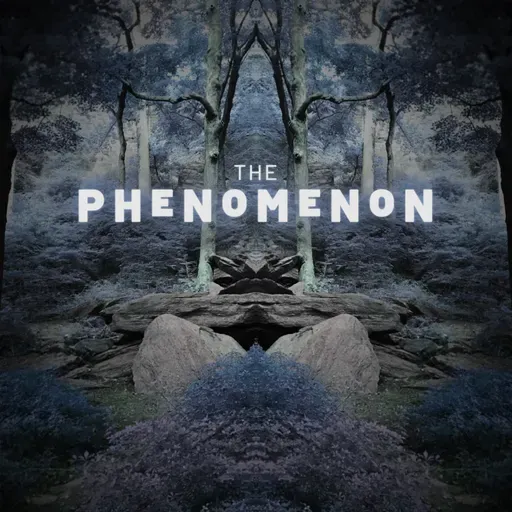 Season 4 Announcement