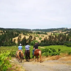 LA VOZ DE LLAHUÉN