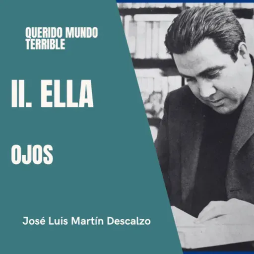 2.9. Querido Mundo Terrible - Ella - Ojos.