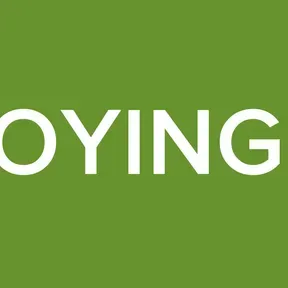 THE ANNOYING STATION