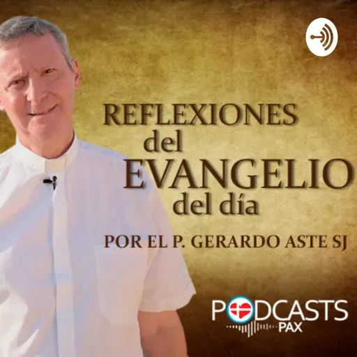 Reflexiones del evangelio de 24 de junio de 2025