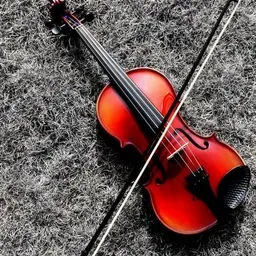 Violin