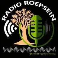 Radio Roepsein -
