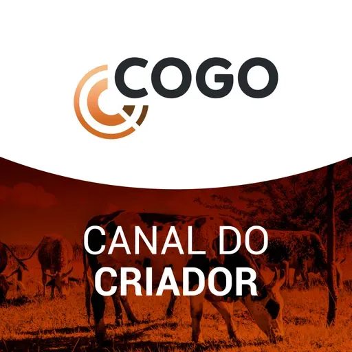Canal do Criador 27/07 - Rações: preços dos insumos recuam, favorecendo os criadores
