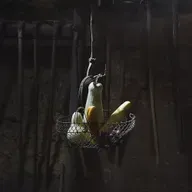 韩少功：农痴