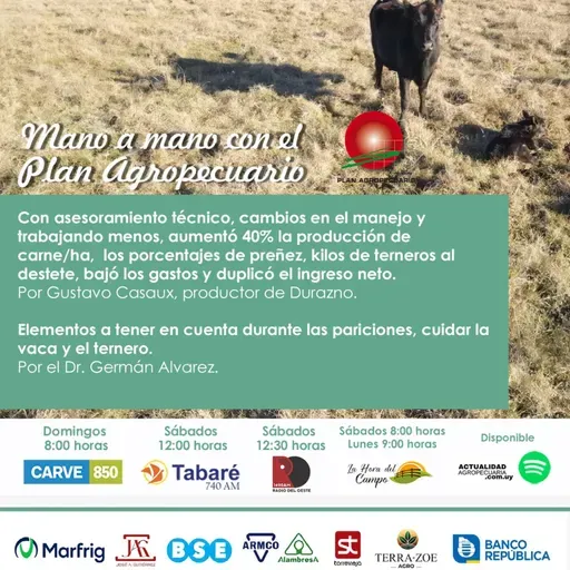 Experiencia de productor de Durazno. Recomendaciones pariciones.