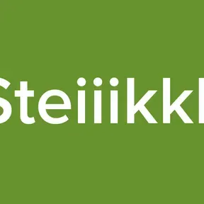 Steiiikkk