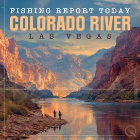 Colorado River  Las Vegas Fishing Report Today