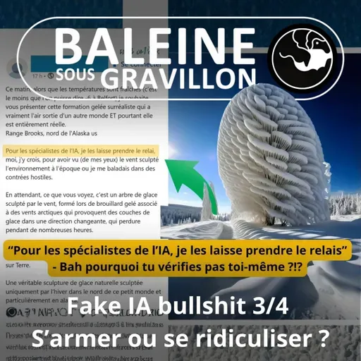 S07E90 Fake, IA et bullshit 3/4 : S'armer ou se ridiculiser (Sylvain Tillon)