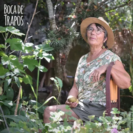 Conversa com Fernanda Botelho especialista em plantas medicinais/aromáticas e escritora