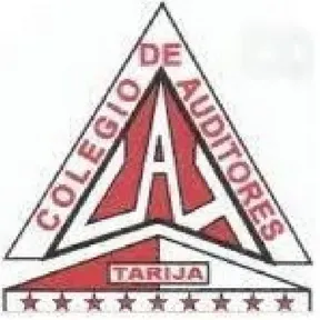Auditores Tarija