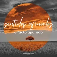 olfacto apurado