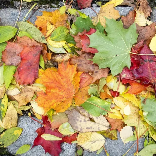 Tisdag 4 november 2025