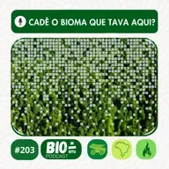 203 - Cadê o bioma que tava aqui?