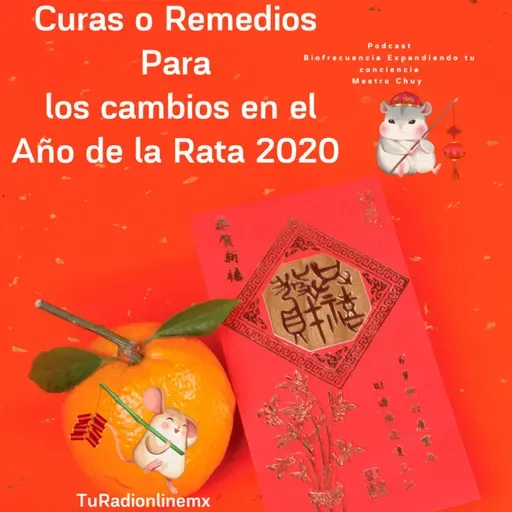 Curas o Remedios Año de la rata 2020