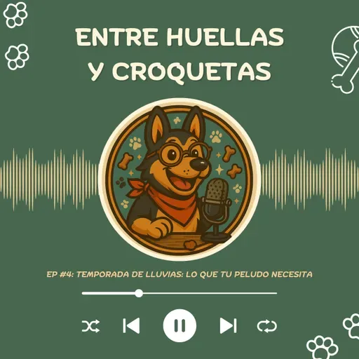 Temporada de lluvias: lo que tu peludo necesita