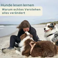 Hunde lesen lernen – warum echtes Verstehen alles verändert