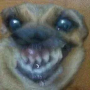 yure lindo
