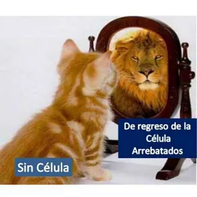 Arrebatados