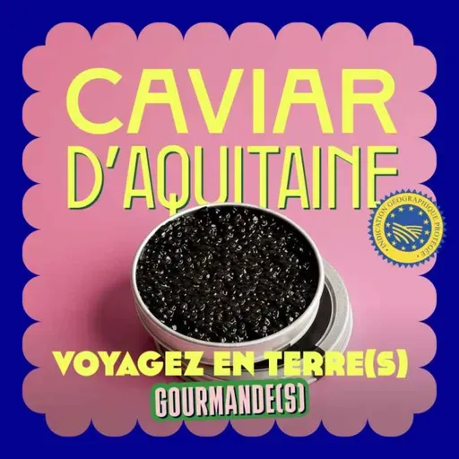 Episode 12: le caviar d'Aquitaine IGP