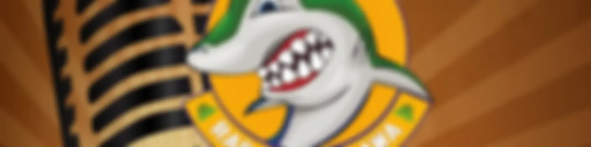 Radio Gozdawa Live Podcast