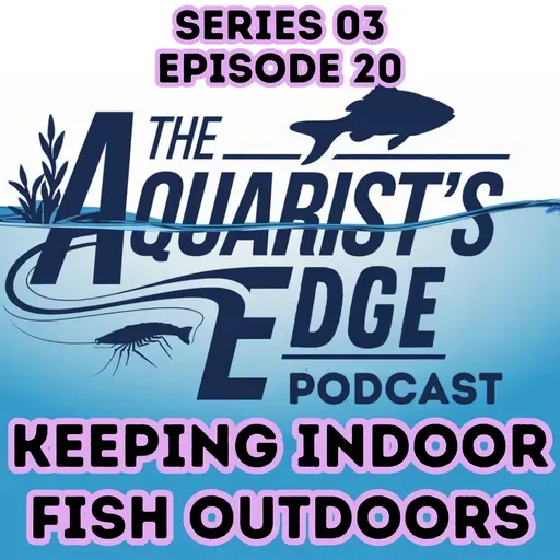 Keeping Indoor Fish Outdoors