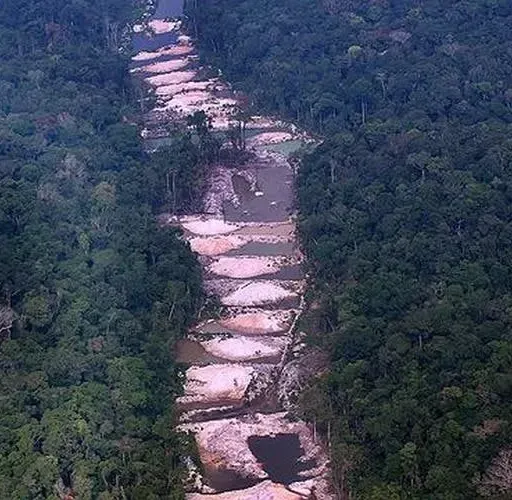 Ibama suspende atividades de 32 madeireiras suspeitas de comércio irregular de madeira da Amazônia Legal em MG
