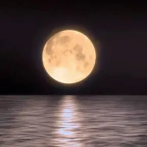 lunarr