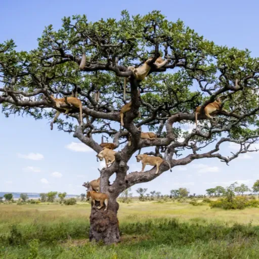 El árbol de la vida