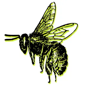 Hive Lounge