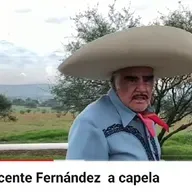 Vicente Fernández El Rey De Huentitán