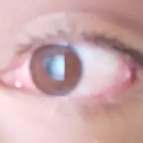 Narutowoe