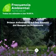 Episodio 215. Primer aniversario del Día Estatal del Bosque La Primavera