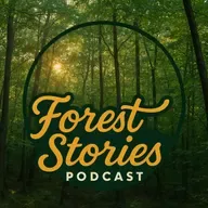 Forest Stories Episode One Hundred Thirteen It Looks Feels And Smells Like Snow