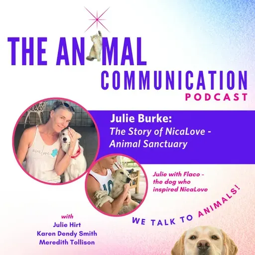 The Story of NicaLove